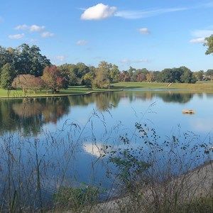 Meet your Posher, Anne